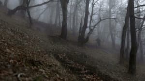 Nothing to be Afraid of — foto 3