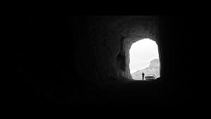 Limbo — foto 4