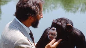 Lucy, el chimpancé humano — foto 8