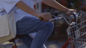 Call the Paperboys — foto 3