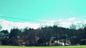 The Horses are Gonna Die, Too — foto 3