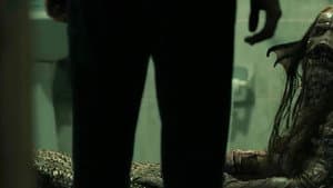 Ósculo — foto 4