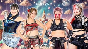 第15回 ゴッデス・オブ・スターダム ～タッグリーグ戦～ in SAPPORO Day1 — foto 6