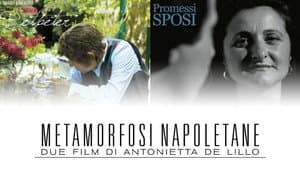 Metamorfosi Napoletane — foto 1