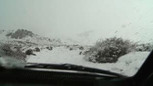 Newen — foto 2