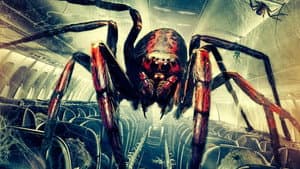 Spiders on a Plane — foto 2