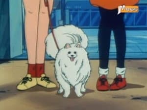 Episodio 11