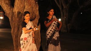 டார்ச்லைட் — foto 4