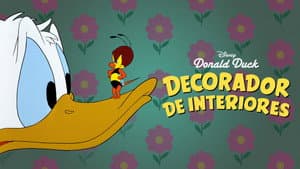 Decorador de interiores — foto 10