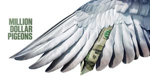 Million Dollar Pigeons — foto 4