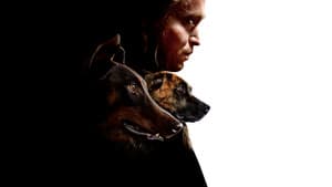 Dogman — foto 8