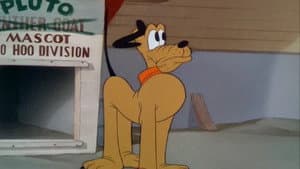 Pluto: La mascota del ejército — foto 1