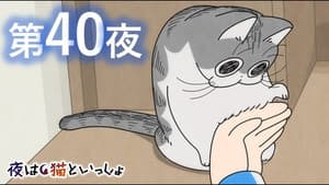 Episodio 40