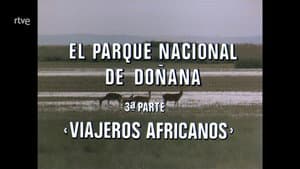 Episodio 65