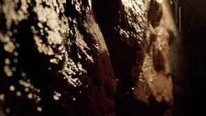 FATHOM — foto 1