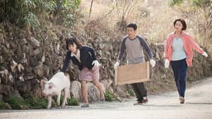 돼지 같은 여자 — foto 1