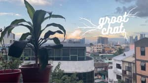 Groot Chat — foto 1