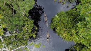 Frontier Sumatra — foto 1