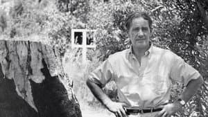 Nolan: The Man and the Myth — foto 1