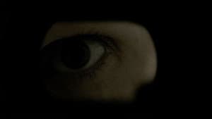 Self Isolated — foto 2