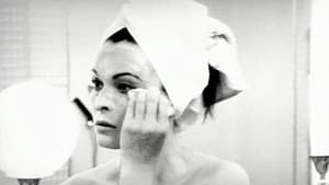 Everyday Portabella — foto 1