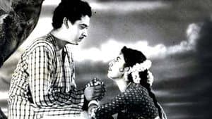 Raagini — foto 1