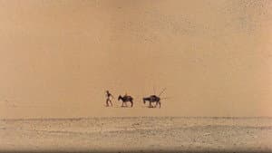 شكاوى الفلاح الفصيح — foto 4