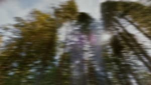 Neither Here Nor There — foto 1