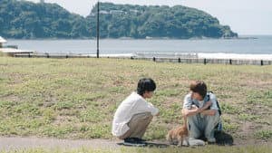 君となら恋をしてみても — foto 11