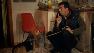 Le Dogsitter (Maintenant que je suis un fantôme) — foto 1