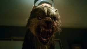 Lobo Vikingo — foto 11