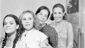 Sem Lenço, Sem Documento — foto 1