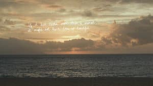 Do you hear the wind in the pine trees? — foto 8