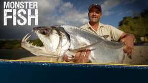 Monster Fish — foto 6