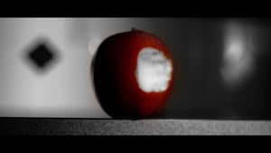 His Shadow — foto 1