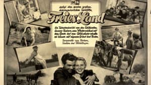 Freies Land — foto 1