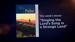 Episodio 5