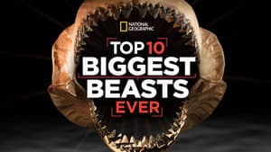 Top 10 Biggest Beasts Ever — foto 5