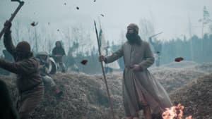 Baltu ciltis — foto 1