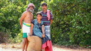 முந்திரிக்காடு — foto 1