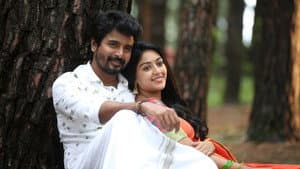 நம்ம வீட்டு பிள்ளை — foto 4