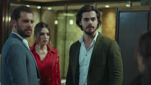 Episodio 9