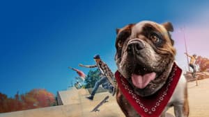 Sk8 Dawg — foto 1