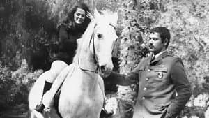 Merhamet — foto 4