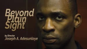 Beyond Plain Sight — foto 1