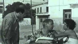 Διακοπές στην Αίγινα — foto 8