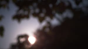Past Calling — foto 9