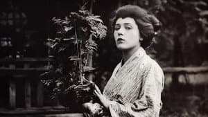 Madame Butterfly — foto 2