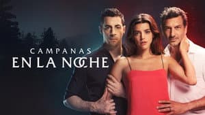 Campanas en la noche — foto 2