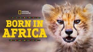 Born in Africa — foto 3